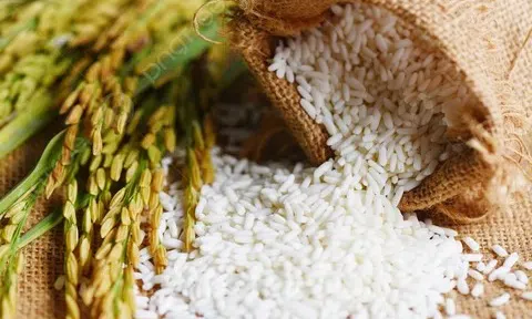 Giá lúa gạo hôm nay 5/4: Giao dịch trầm lắng