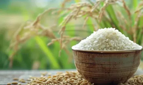 Giá lúa gạo hôm nay 6/4: Không có nhiều biến động