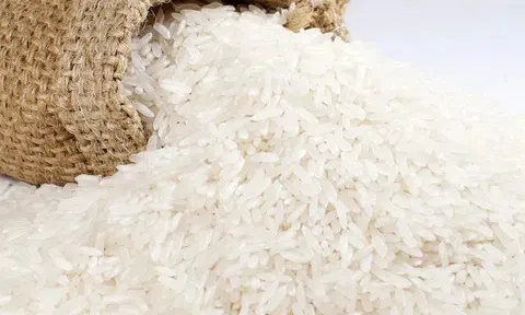 Giá lúa gạo hôm nay 7/4/2026: Giao dịch trầm lắng