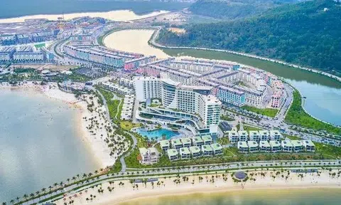 Chủ Khu du lịch quốc tế Đồi Rồng lần đầu báo lãi, ôm khối nợ gấp 8,3 lần vốn chủ sở hữu