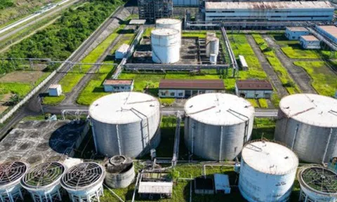 Bước chuyển mới của xăng sinh học - Bài 3: "Cú hích" nào cho xăng E10?