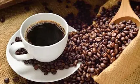 Giá cà phê hôm nay 10/4/2026: Phục hồi trở lại
