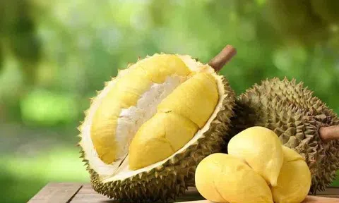 Giá sầu riêng hôm nay 9/4: Sầu riêng Thái tăng nhẹ