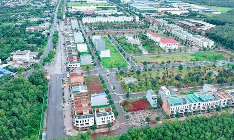 Hành trình 20 năm khởi nghiệp hệ sinh thái xanh cho người lao động