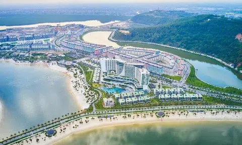 Chủ Khu du lịch quốc tế Đồi Rồng lần đầu báo lãi, ôm khối nợ gấp 8,3 lần vốn chủ sở hữu