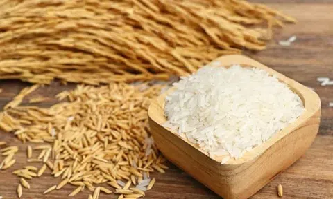 Giá lúa gạo hôm nay 14/4/2026: Giữ trạng thái đi ngang