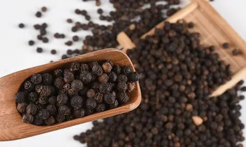 Giá tiêu hôm nay 14/4/2026: Tăng 500 – 1.000 đồng/kg