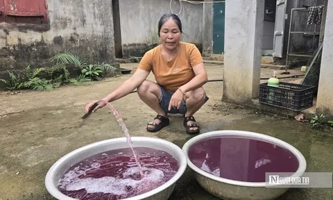 Nước giếng khoan chuyển màu tím, bốc mùi hôi tanh: Đã tìm ra "thủ phạm"