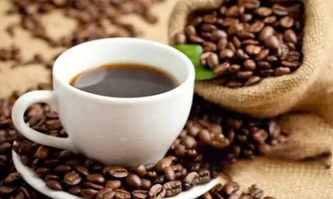 Giá cà phê hôm nay 16/4/2026: Tăng mạnh liên tiếp, robusta lập đỉnh