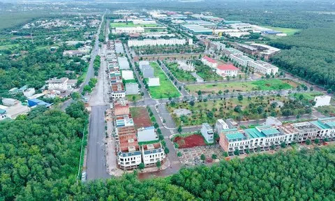 Hành trình 20 năm khởi nghiệp hệ sinh thái xanh cho người lao động