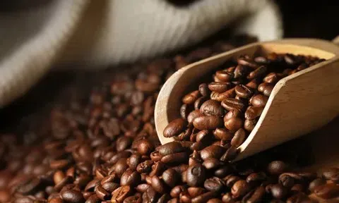 Giá cà phê hôm nay 17/4/2026: Tăng mạnh trong nước, thế giới đảo chiều giảm