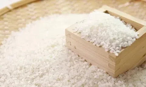 Giá lúa gạo hôm nay 17/4/2026: Tín hiệu phục hồi