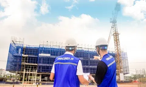 Lộ diện 2 ứng viên bầu bổ sung thành viên HĐQT Vinaconex do nhóm Pacific Holdings đề cử