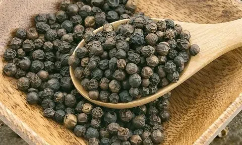 Giá tiêu hôm nay 20/4/2026: Ổn định trên toàn thị trường nội địa