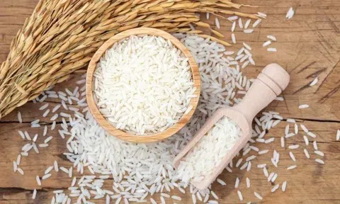 Giá lúa gạo hôm nay 21/4/2026: Ổn định, giá gạo xuất khẩu ở mức cao