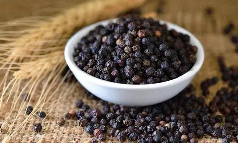 Giá tiêu hôm nay 21/4/2026: Duy trì ổn định