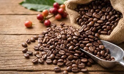 Giá cà phê hôm nay 23/4/2026: Điều chỉnh, giá cà phê trong nước giảm