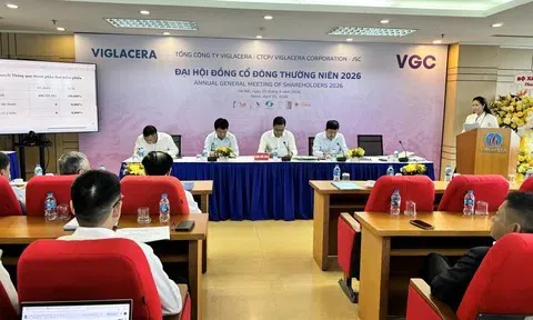 ĐHĐCĐ Viglacera: Tăng tốc doanh thu, “hãm phanh” lợi nhuận, lùi nhịp thoái vốn “chờ thời điểm phù hợp”