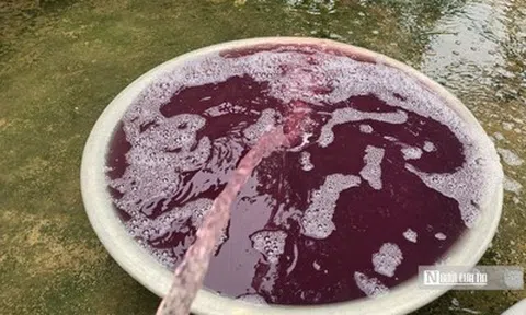 Vụ nước giếng khoan chuyển màu tím: Tạm dừng hoạt động giặt là nhà máy may