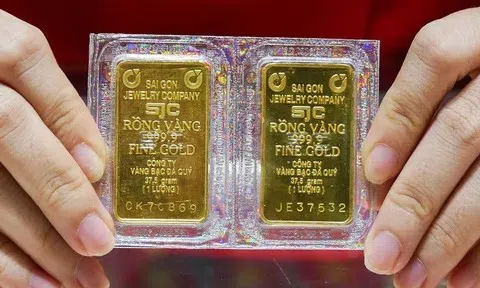 Giá vàng hôm nay 28/4: Giá vàng SJC, nhẫn 9999, vàng nữ trang 24K mới nhất