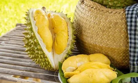 Giá sầu riêng hôm nay 7/5/2026: Thị trường giảm mạnh