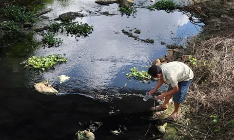 Quảng Ngãi: Dòng kênh thủy lợi đổi màu nước đen, bốc mùi hôi nồng nặc