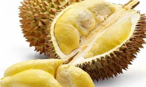 Giá sầu riêng hôm nay 11/5/2026: Thị trường ổn định, nông dân vẫn lo