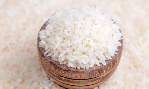 Giá lúa gạo hôm nay 12/5/2026: Toàn cảnh thị trường, xuất khẩu và dự báo
