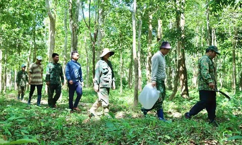 Truy quét "thòng lọng tử thần" giữa đại ngàn Tây Nguyên