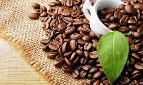 Giá cà phê hôm nay 13/5/2026: Nội địa bật tăng, giá thế giới trái chiều
