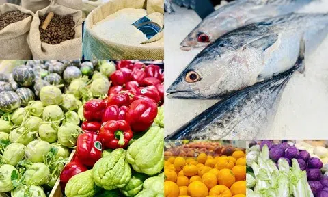 Nông lâm thủy sản Việt Nam tăng tốc kiến tạo giá trị tỷ đô bằng thương hiệu xanh