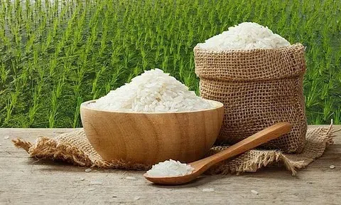 Giá lúa gạo hôm nay 15/5/2026: Biến động nhẹ