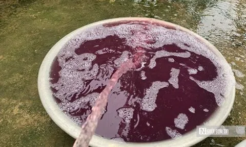 Vụ nước giếng khoan đổi màu tím, hôi tanh: Xử phạt công ty giặt là 1,5 tỷ đồng