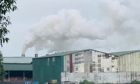 Khói mù mịt từ nhà máy viên nén: Quan trắc độc lập phát hiện khí CO vượt chuẩn