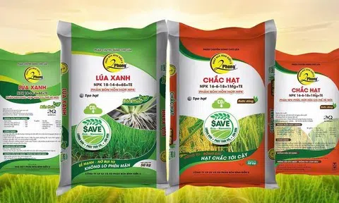 Phân bón 2Phong đặt mục tiêu doanh thu hơn 1.600 tỷ đồng năm 2026, tăng tốc tái cấu trúc và mở rộng thị trường