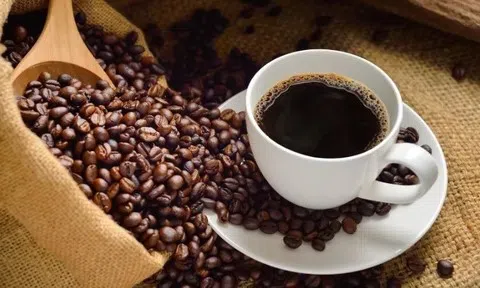Giá cà phê hôm nay 19/5/2026: Giá đồng loạt giảm mạnh, robusta chạm đáy 4 tuần