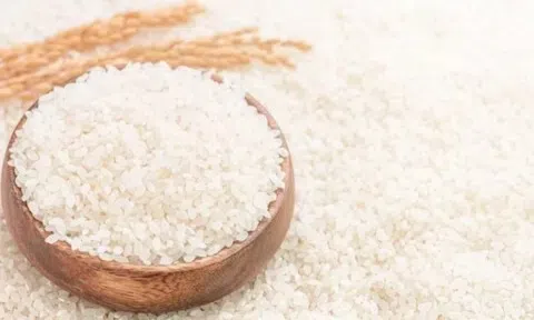 Giá lúa gạo hôm nay 19/5/2026: Toàn cảnh thị trường lúa gạo trong nước và xuất khẩu