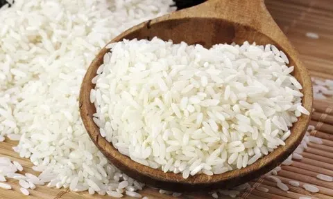 Giá lúa gạo hôm nay 20/5/2026: Toàn cảnh thị trường lúa gạo trong nước và xuất khẩu