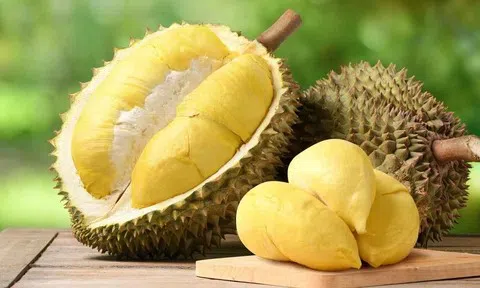 Giá sầu riêng hôm nay 21/5/2026: Phân tích thị trường và xu hướng giá cả