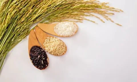Giá lúa gạo hôm nay 23/5/2026: Thị trường trong nước ổn định, gạo xuất khẩu tăng nhẹ