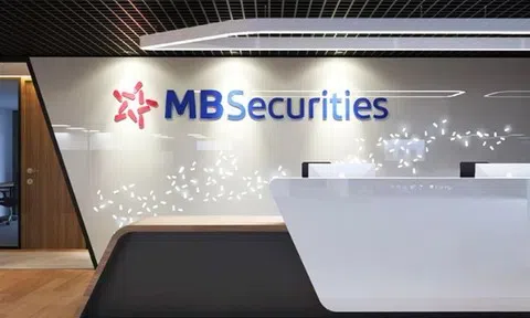 MBS hoàn tất chào bán gần 334 triệu cổ phiếu, tăng vốn lên hơn 10.000 tỷ đồng