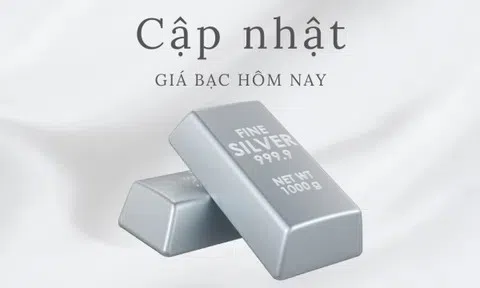 Giá bạc hôm nay 23/5/2026: Cập nhật giá bạc thế giới và trong nước mới nhất
