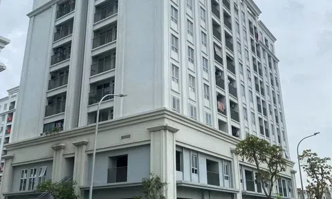 Quảng Ninh: Quyết liệt gỡ "nút thắt” các dự án chậm tiến độ, khơi thông nguồn lực đất đai