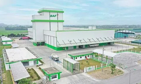 BAF bắt tay FMO triển khai hai dự án chăn nuôi công nghệ cao doanh thu 2.000 tỷ đồng/năm