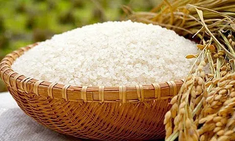 Giá lúa gạo hôm nay 3/6/2026: Toàn cảnh thị trường, xuất khẩu