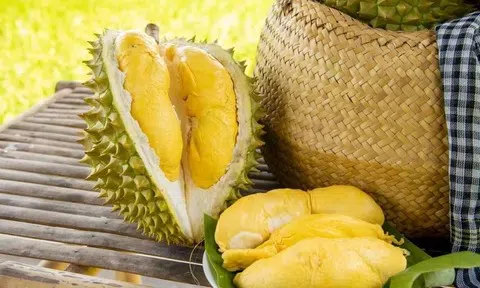 Giá sầu riêng hôm nay 3/6/2026: Thị trường ổn định, tín hiệu hồi phục