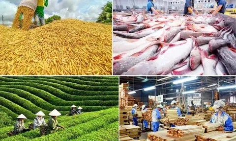 Xuất khẩu nông lâm thủy sản đạt​​​​​​​ hơn 30 tỷ USD sau 5 tháng đầu năm 2026