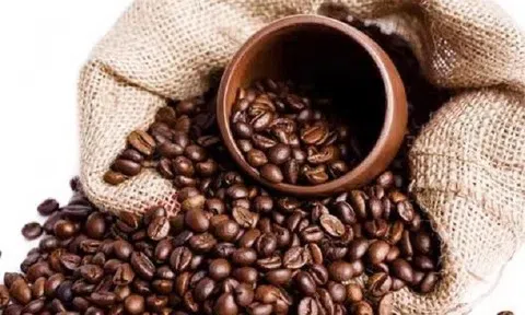 Giá cà phê hôm nay 4/6/2026: Thị trường nội địa tăng trở lại, giá thế giới đồng loạt giảm