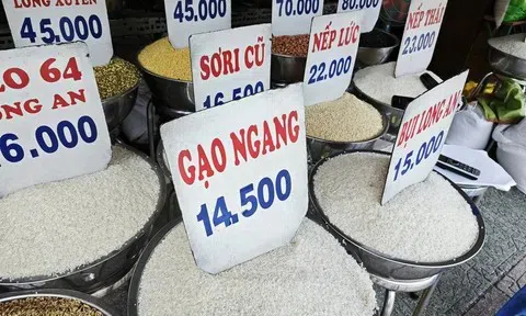 El Nino đẩy giá gạo xuất khẩu nhích lên, giá bình quân 5 tháng vẫn giảm sâu