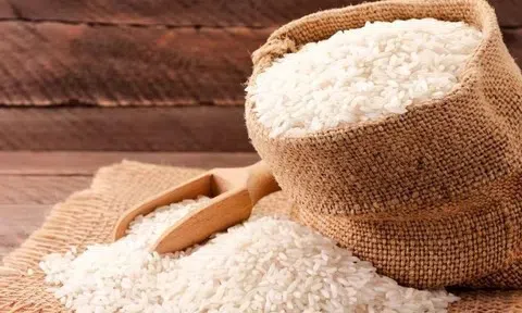 Giá lúa gạo hôm nay 9/6/2026: Duy trì ổn định